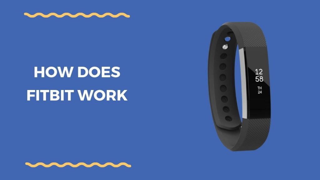 How Does Fitbit Work: What Can A Fitbit Do?