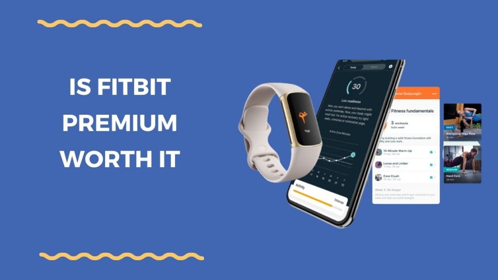 Is Fitbit Premium Worth It? Features, Costs And More