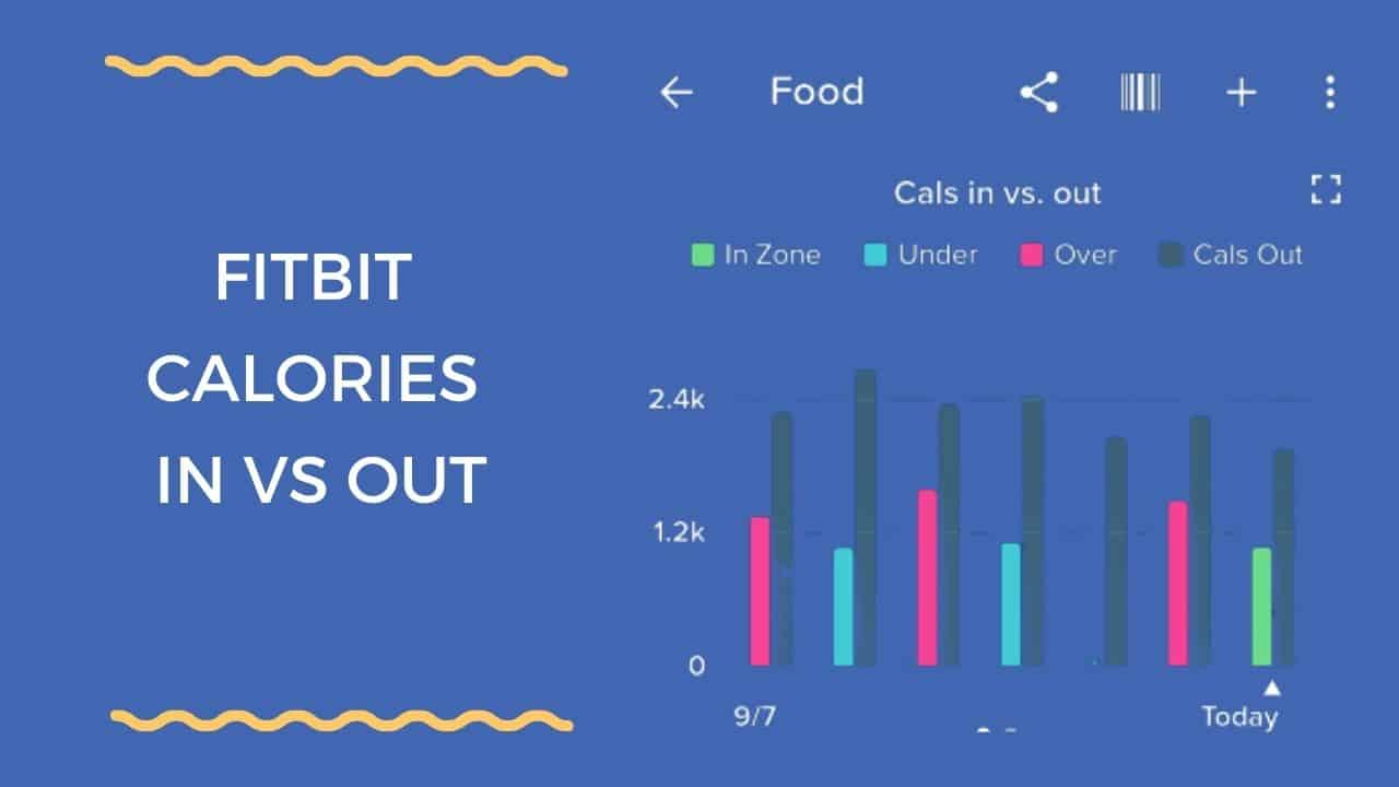 Fitbit Calories In vs out